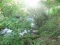 Araing_2009 027